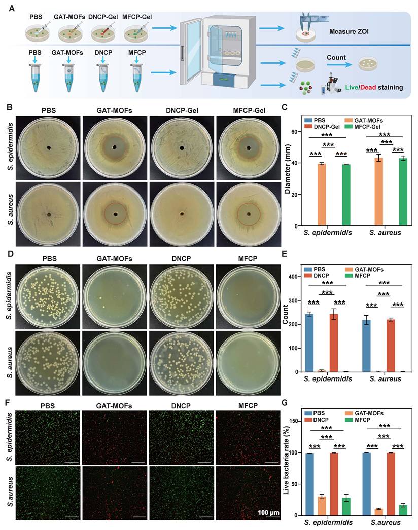 Theranostics Image
