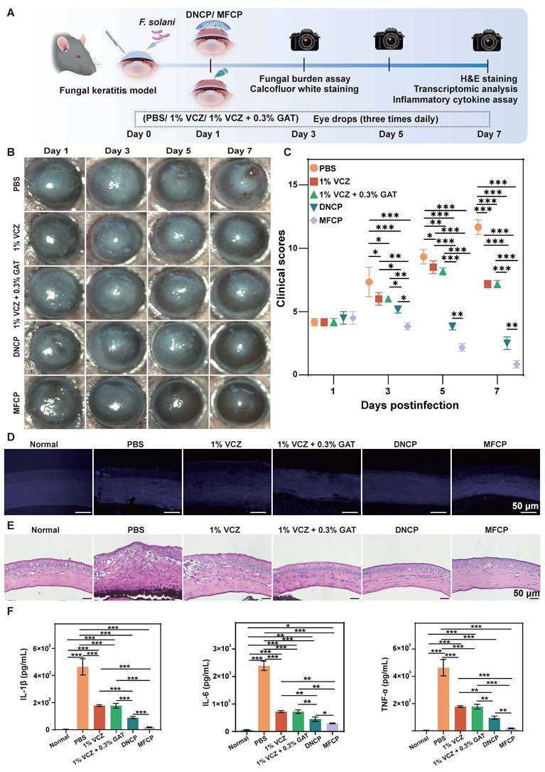 Theranostics Image