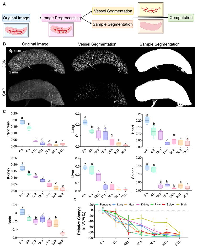 Theranostics Image