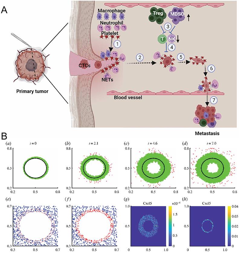 Theranostics Image