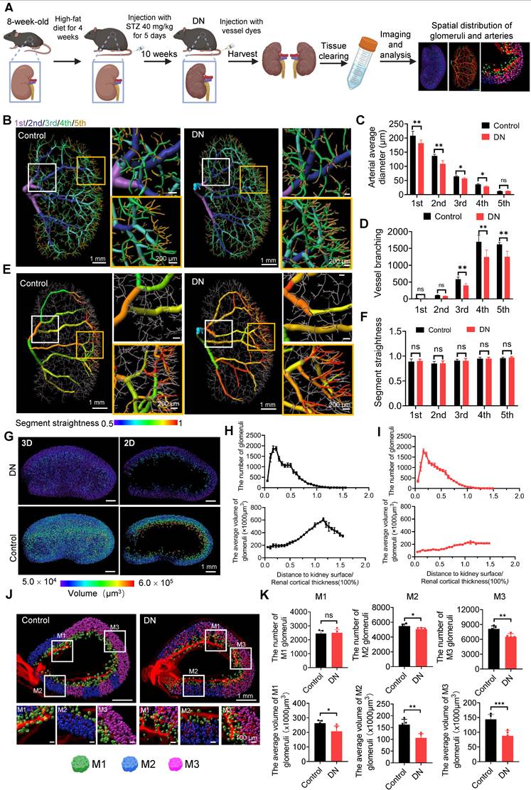Theranostics Image