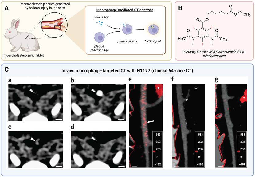 Theranostics Image