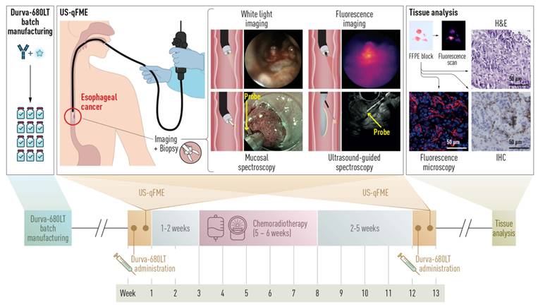 Theranostics Image