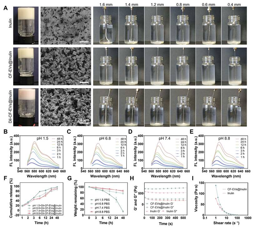Theranostics Image