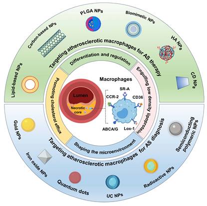 Theranostics Image