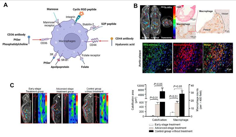 Theranostics Image