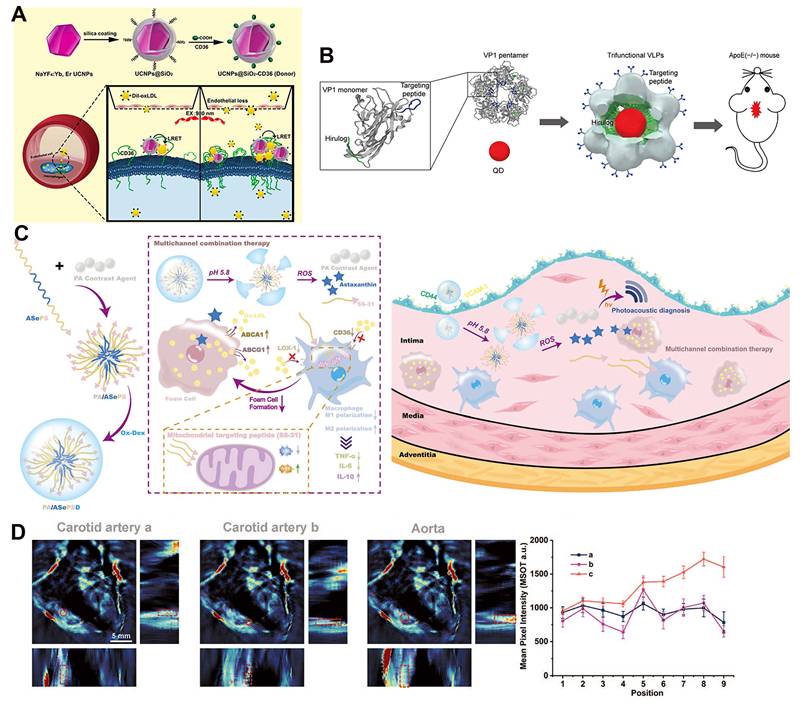 Theranostics Image