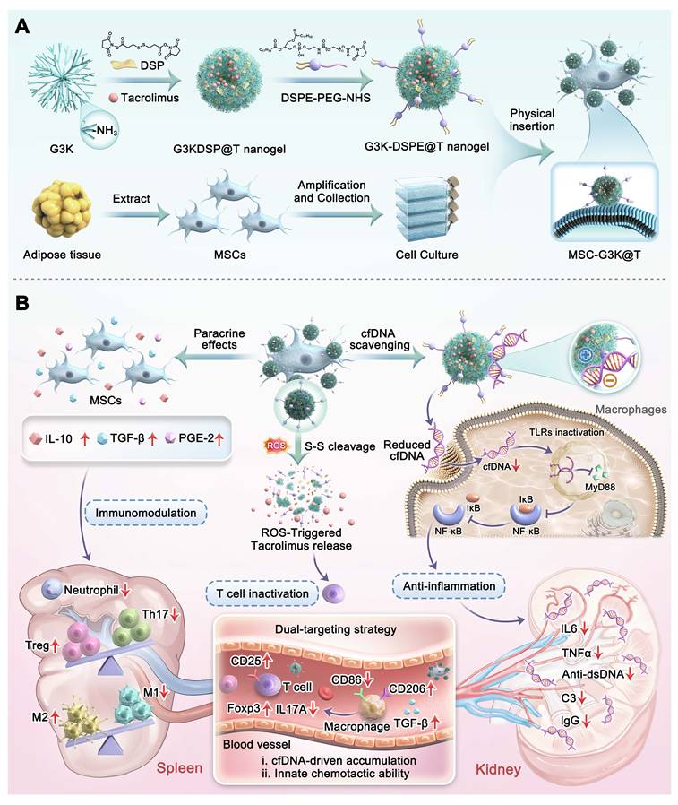 Theranostics Image