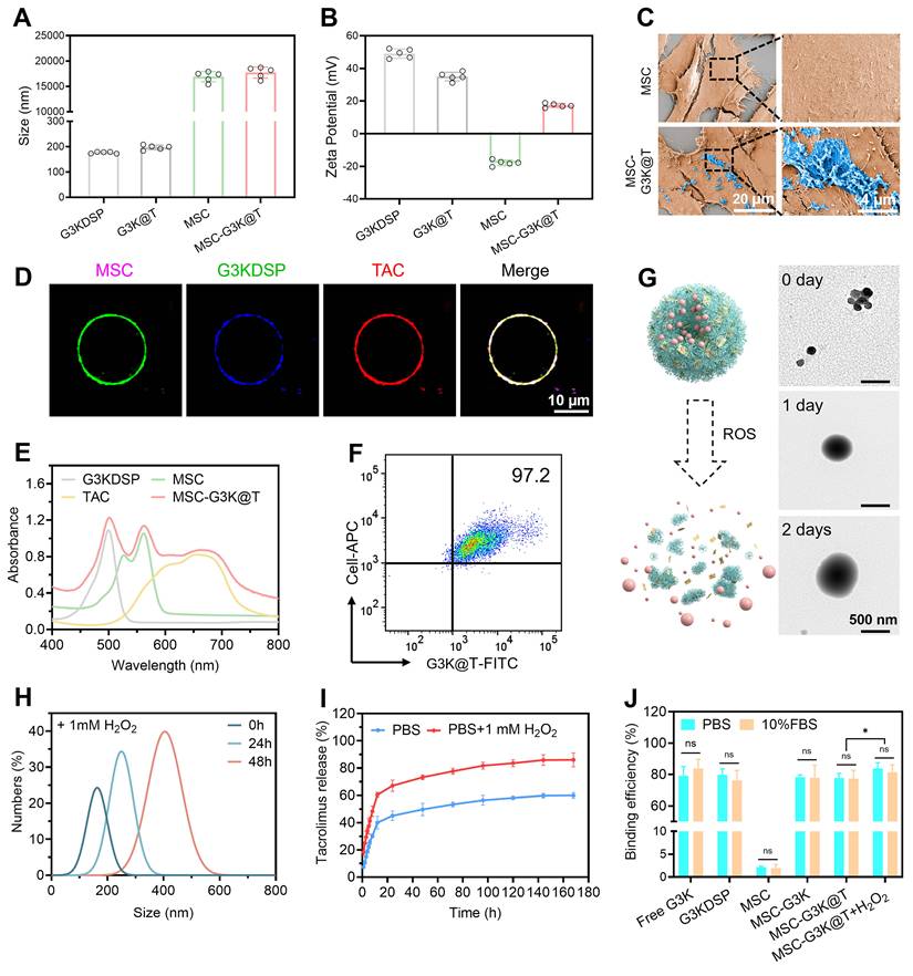 Theranostics Image
