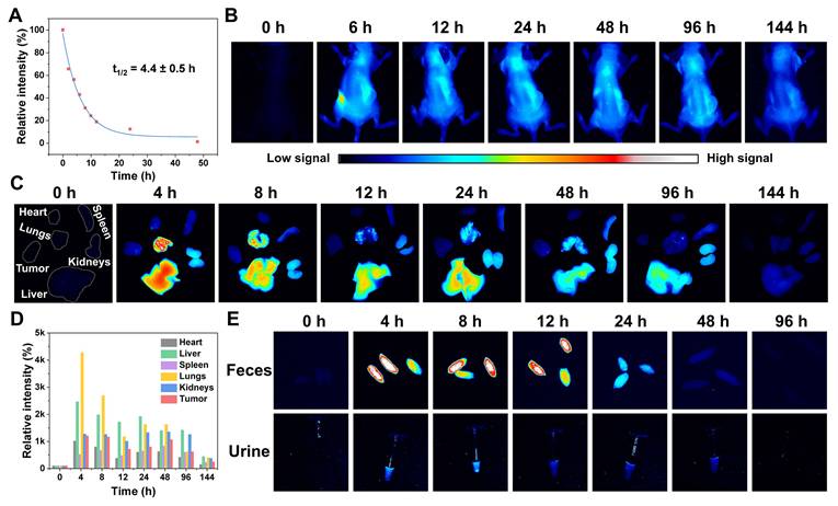 Theranostics Image