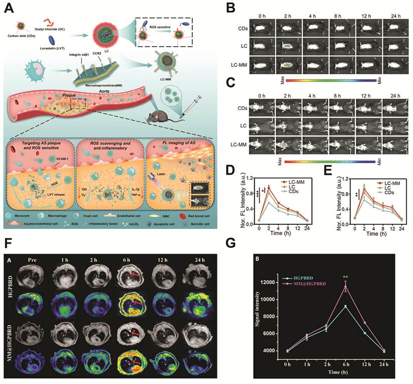 Theranostics Image