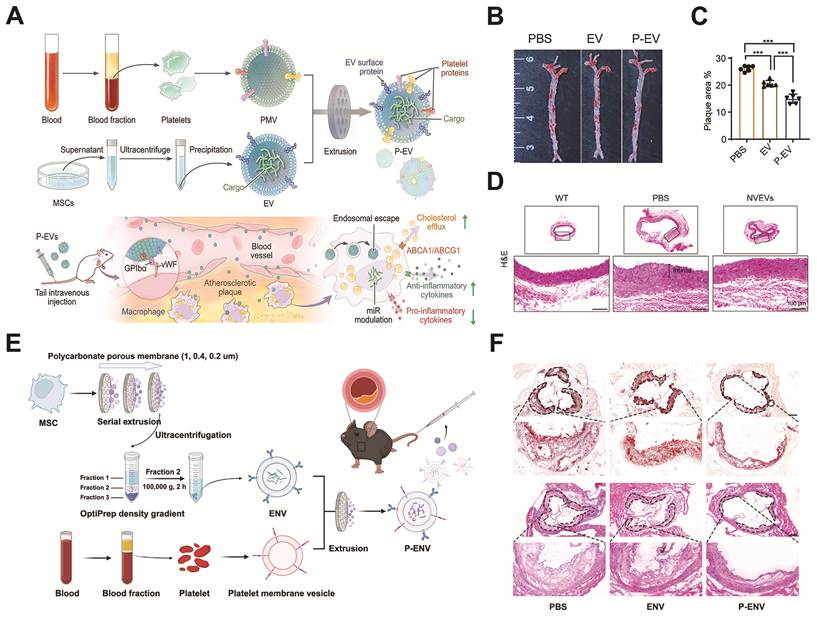 Theranostics Image