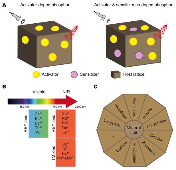Theranostics Image