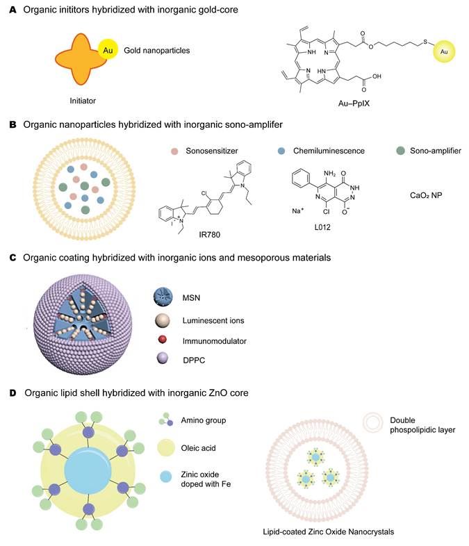 Theranostics Image