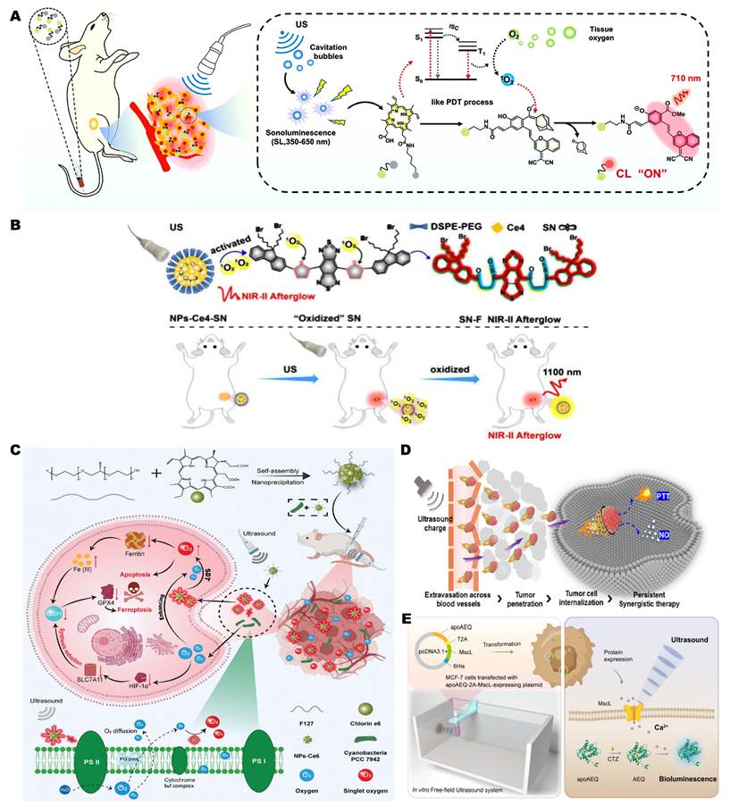 Theranostics Image
