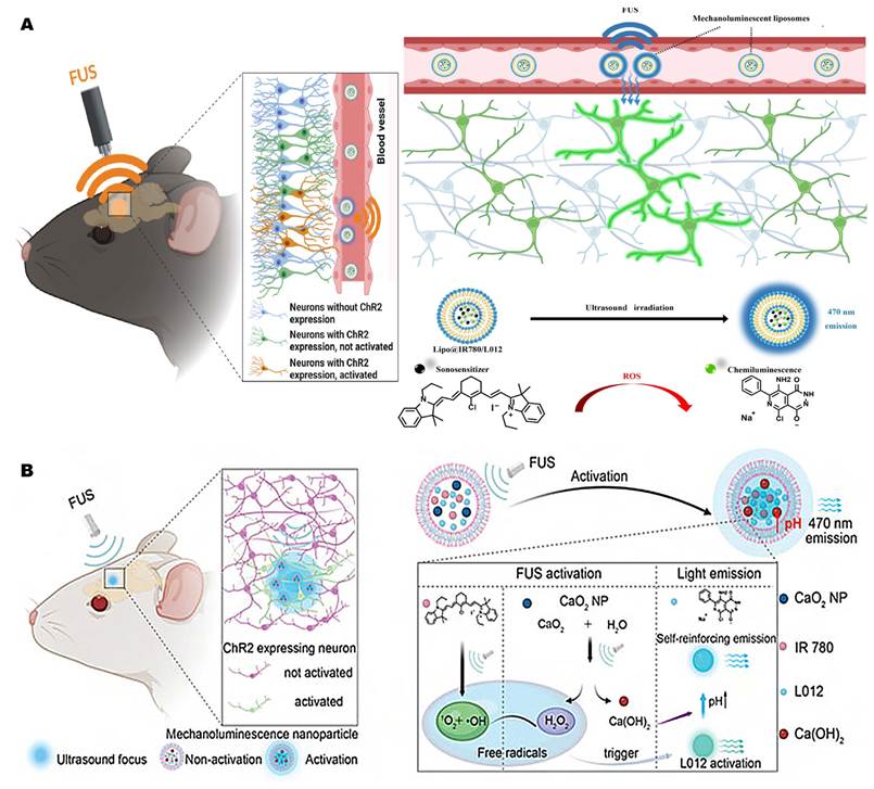 Theranostics Image
