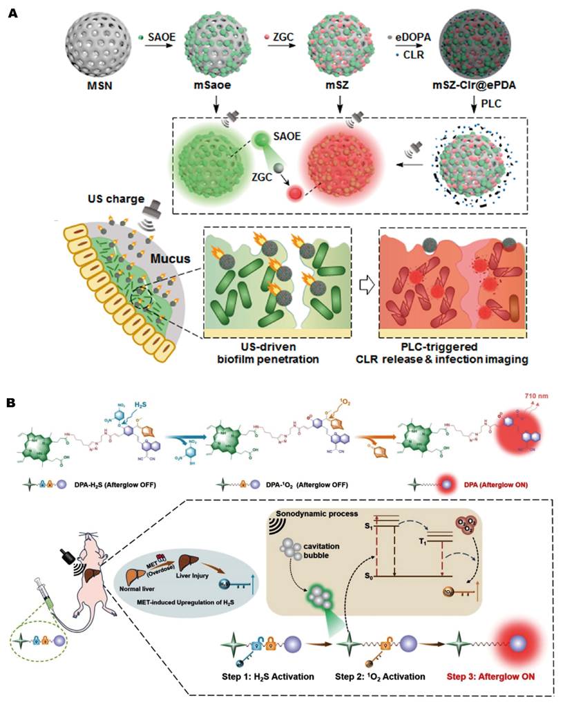 Theranostics Image