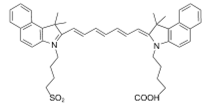 Theranostics inline graphic