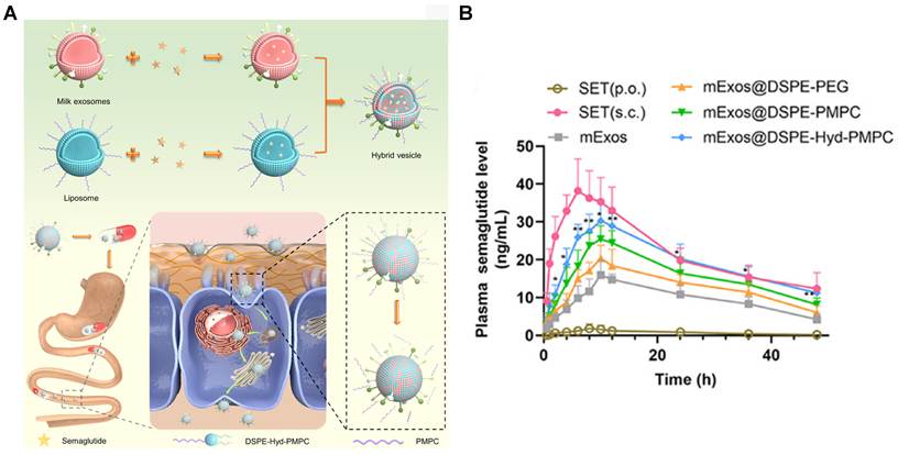 Theranostics Image