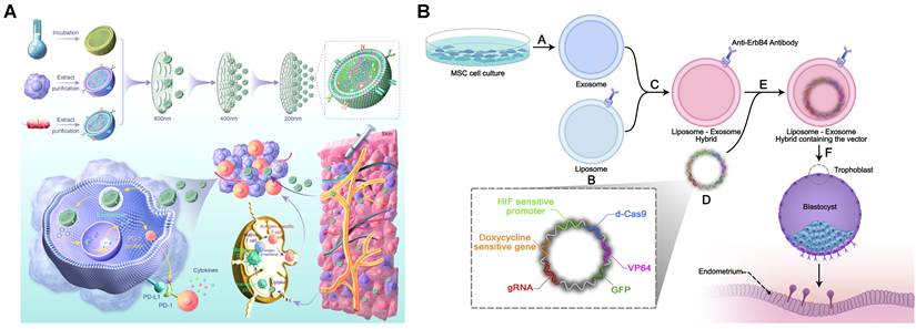 Theranostics Image
