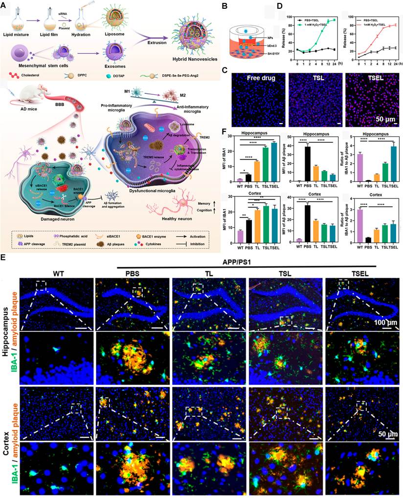 Theranostics Image