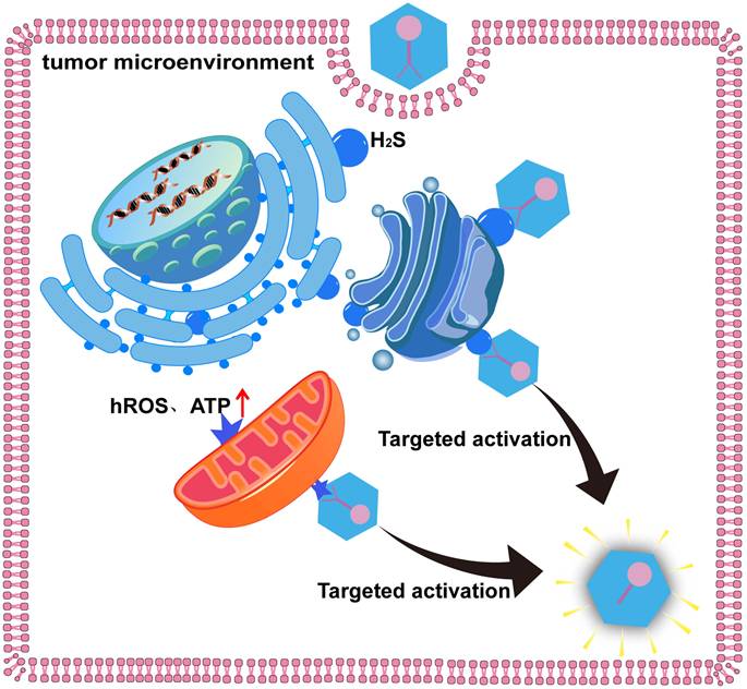 Theranostics Image