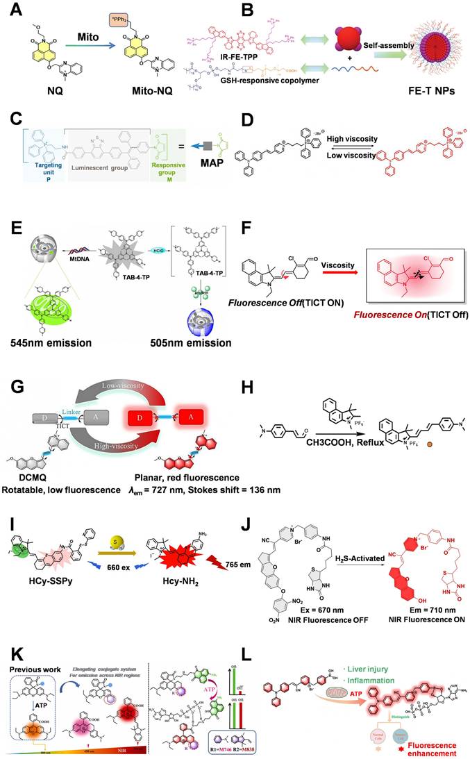 Theranostics Image