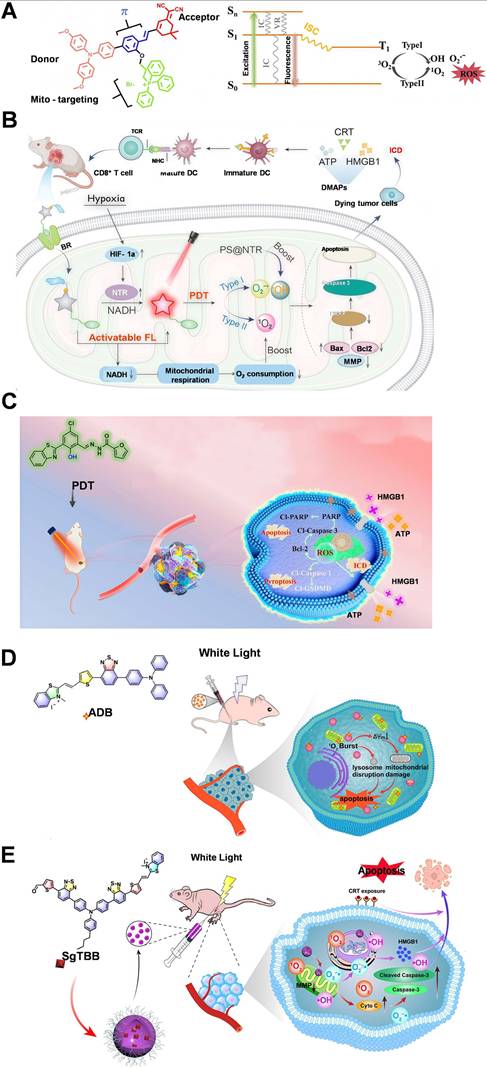 Theranostics Image