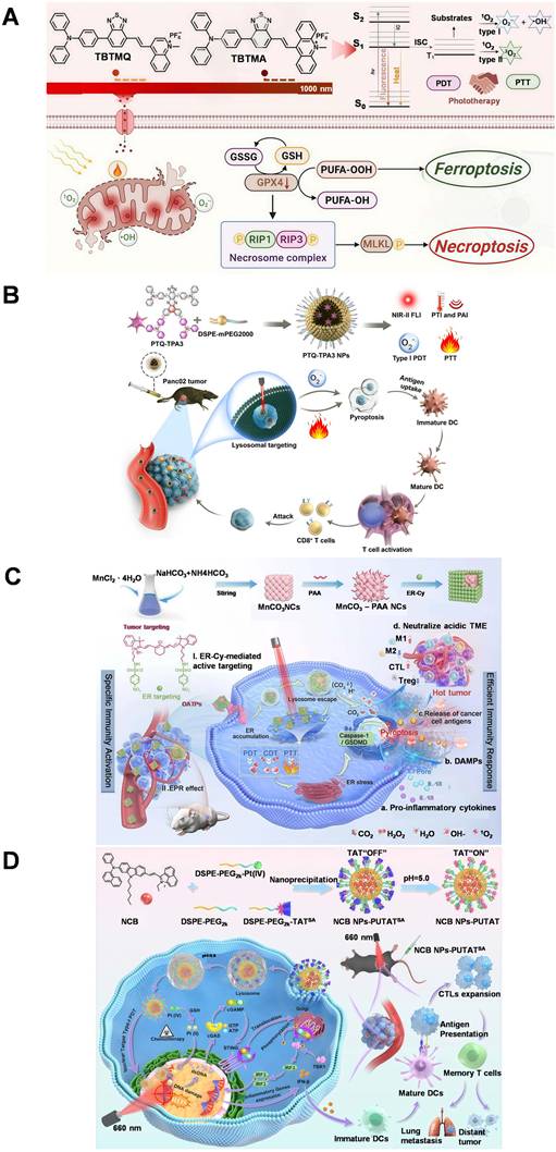Theranostics Image