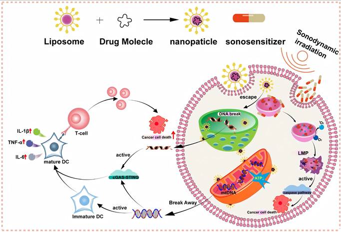 Theranostics Image