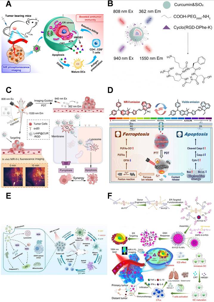 Theranostics Image
