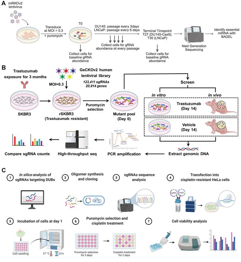 Theranostics Image