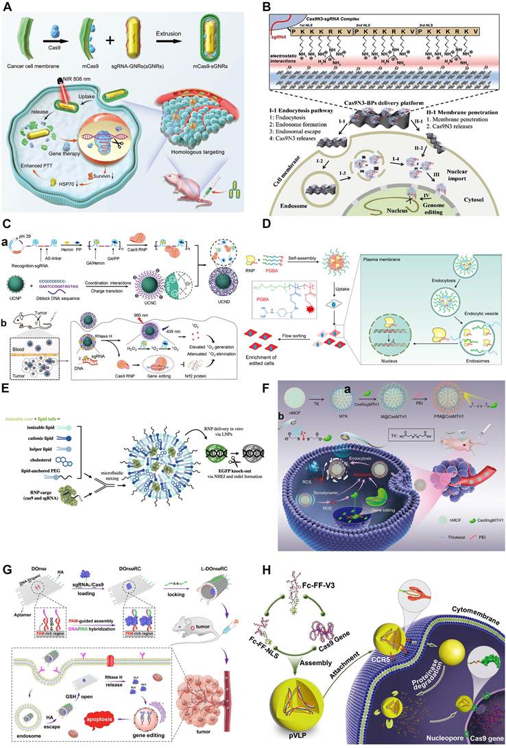 Theranostics Image