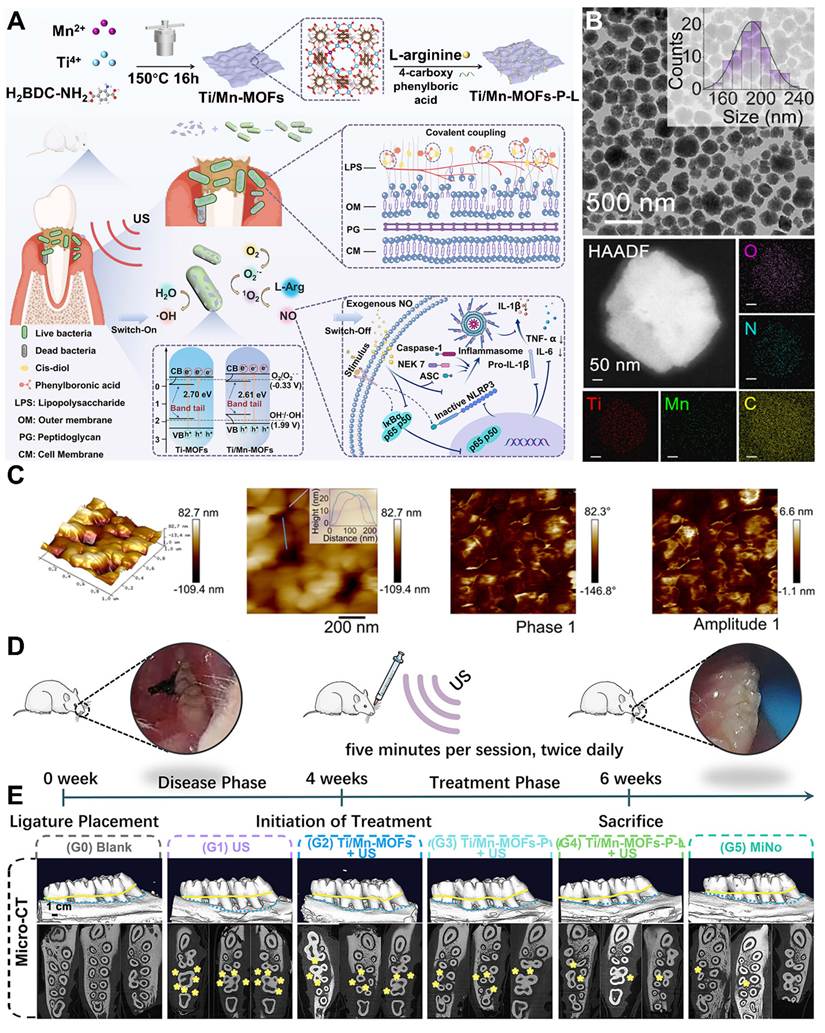 Theranostics Image