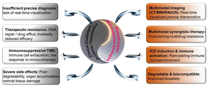 Theranostics Image