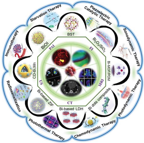 Theranostics Image