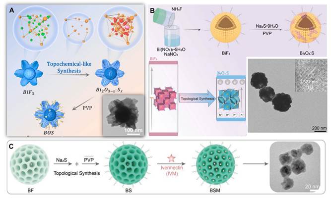 Theranostics Image