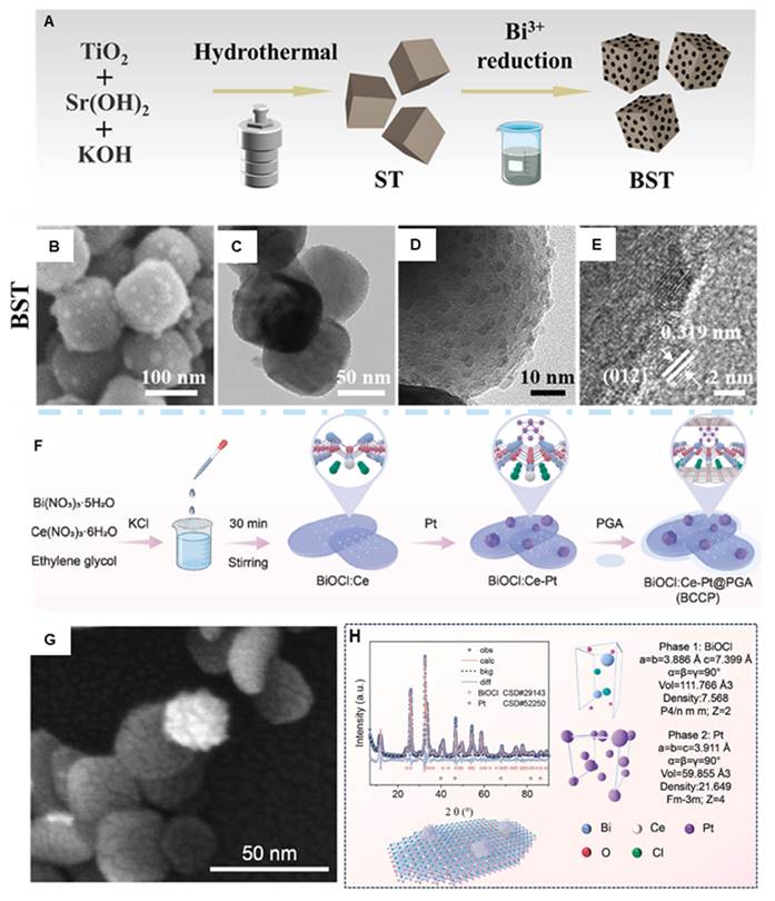 Theranostics Image