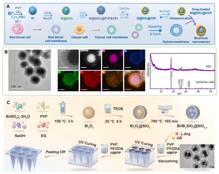 Theranostics Image