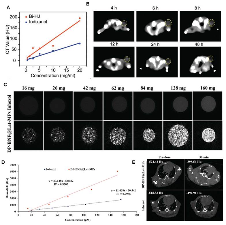 Theranostics Image