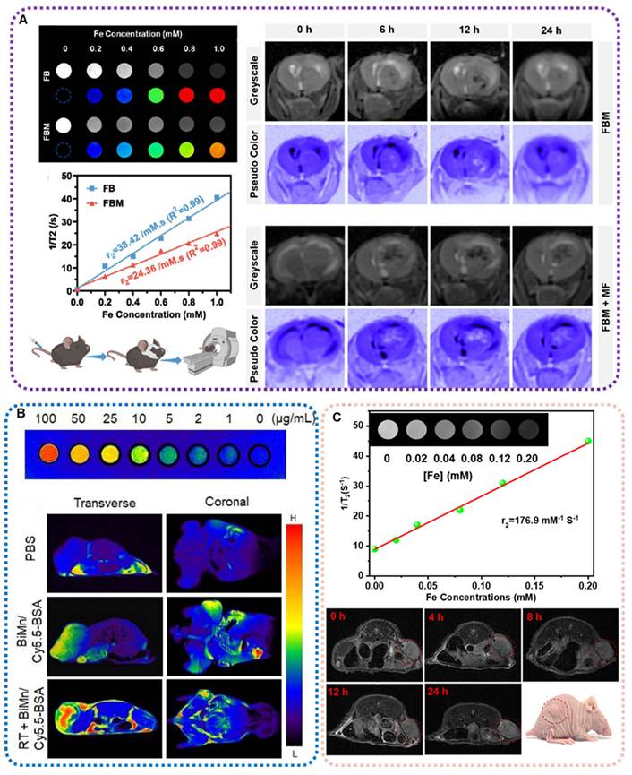 Theranostics Image