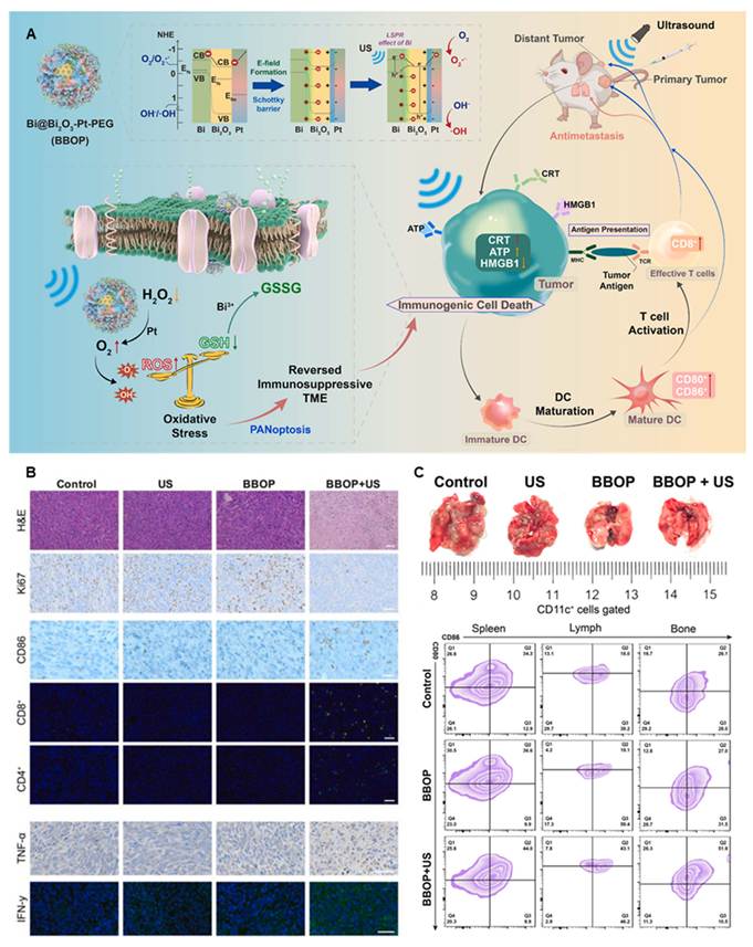 Theranostics Image
