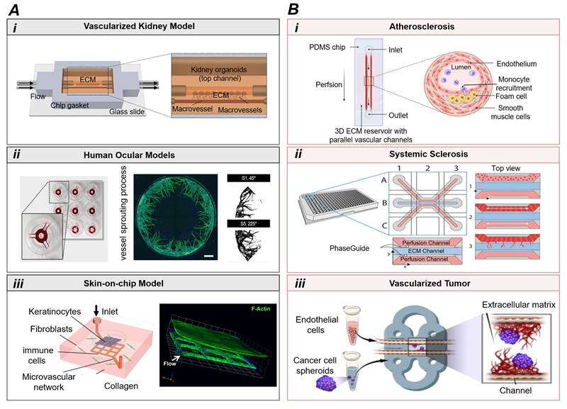Theranostics Image