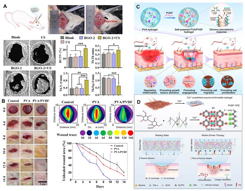 Theranostics Image
