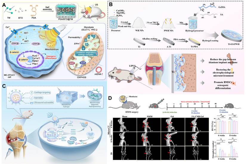 Theranostics Image