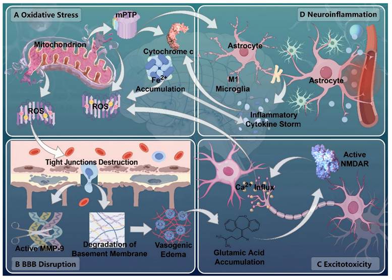 Theranostics Image