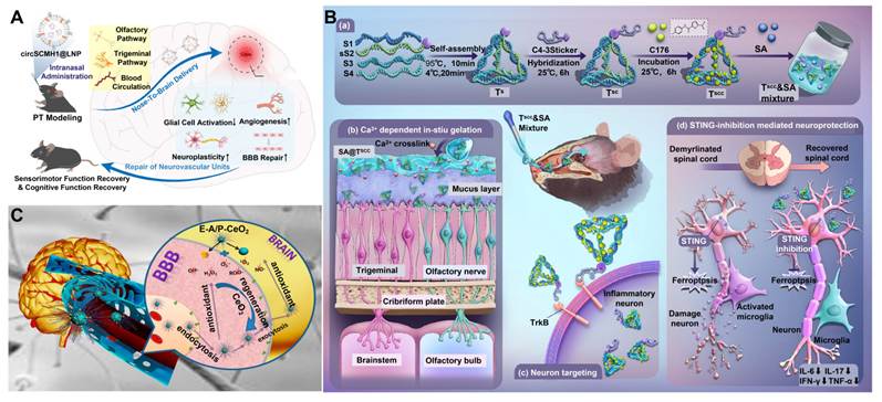 Theranostics Image