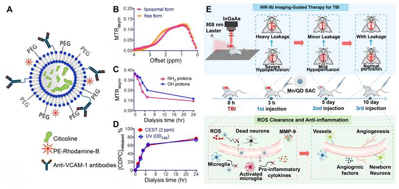 Theranostics Image