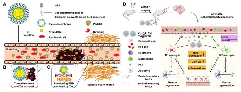Theranostics Image