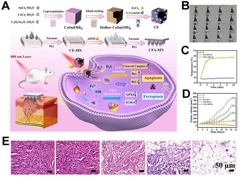 Theranostics Image